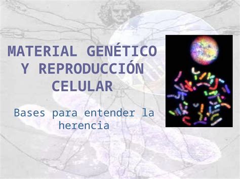 Pptx Material GenÃ©tico Y ReproducciÃ³n Celular Dokumentips