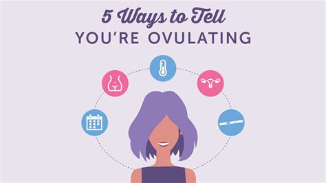 Ovulation 5 Signs Youre Ovulating Preconception What To Expect