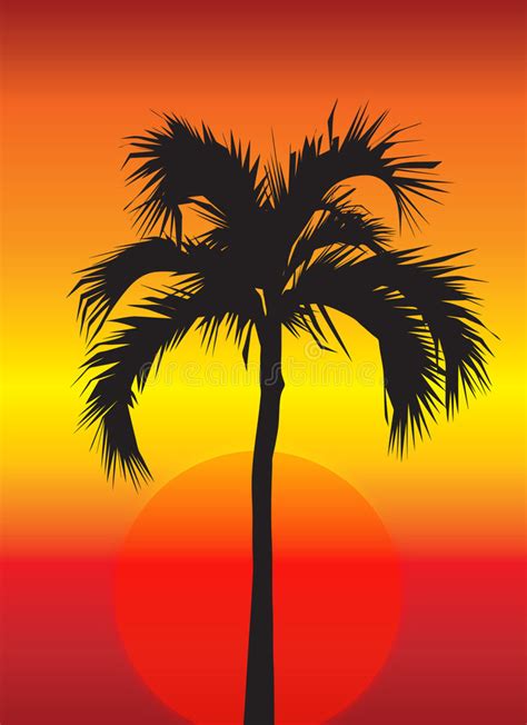 Palm Tree Sunset Drawing Stock Illustrations 1358 Palm