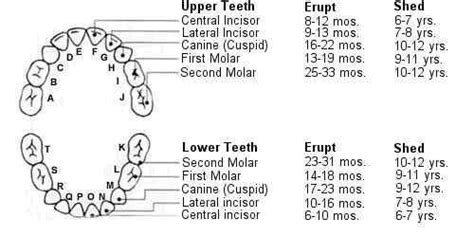 Kindandental Dental Practice