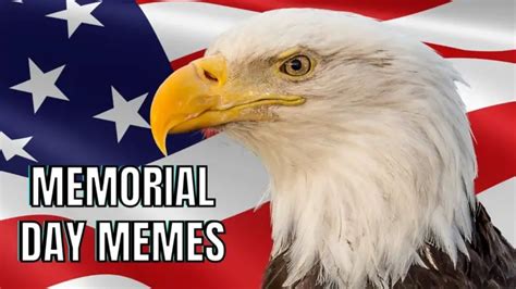 25 Best Memorial Day Memes For Patriotic Laughs In 2023