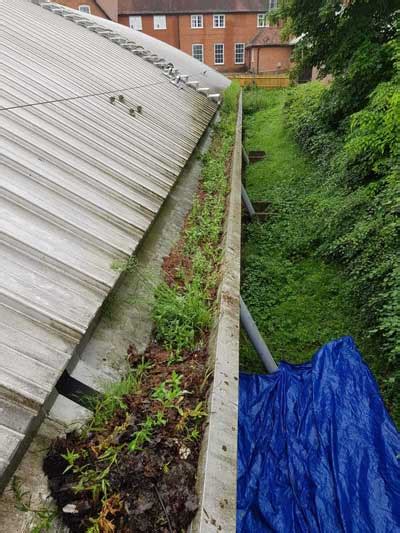 We did not find results for: Gutter Cleaning The Chalfonts - Gutter-Vac & Ladder ...