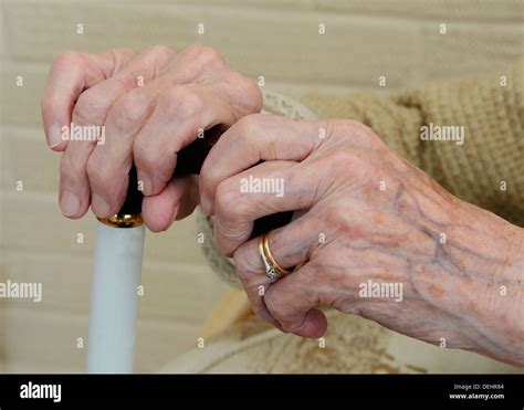 Old Senior Lady Ladys Hands Pensioner With Walking Stick Stock Photo