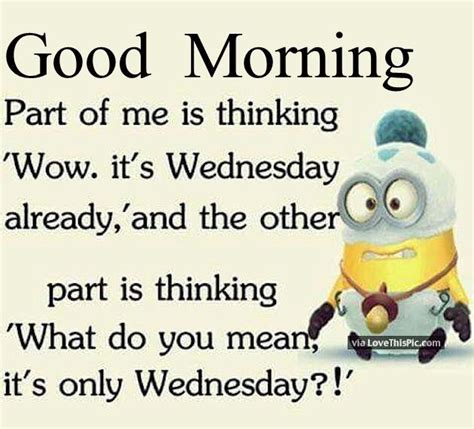 Good Morning Funny Minion Wednesday Quote Good Morning Wednesday Hump Day Good Morning