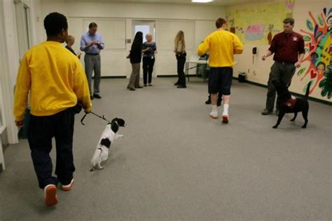 Riverside County Juvenile Hall Inmates Train Service Dogs Learn