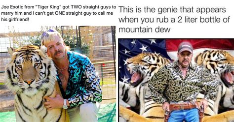 Joe Exotic Tiger King Memes Netflix S Tiger King Memes Popsugar