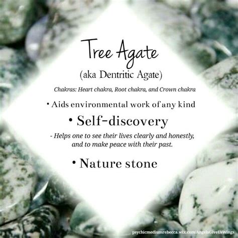 Best 25+ Tree agate ideas on Pinterest | Gemstones, Crystals and