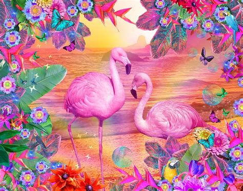 Tropical Flamingo Flamingos Butterflies Pink Tropical Ocean Flowers Hd Wallpaper Peakpx