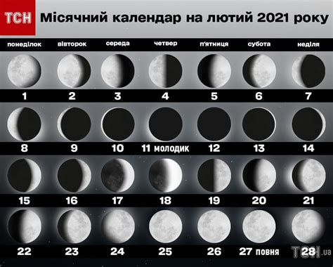 Місячний календар на лютий 2021: фази Місяця, повня, молодик та їхній ...
