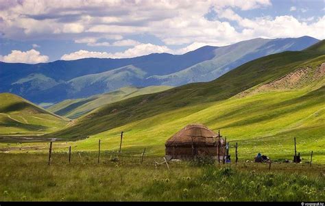 Top 10 Largest Grasslands In The World Biyoncastas Blog