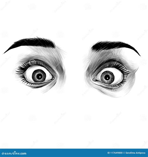 Women`s Eyes Sketch Vector Graphic Stock Vector Illustration Of