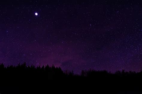 Silhouette Of Trees Under Starry Night Stars Silhouette Night Sky Hd
