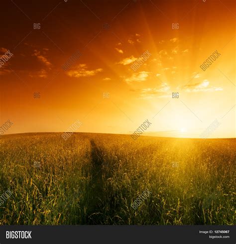 Field Grass Sunset Image And Photo Free Trial Bigstock