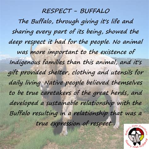 Buffalo Respect Traditional Stories Teachings Indigenous Education