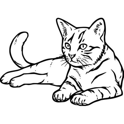We did not find results for: Katzen malen - Ausmalbilder - kostenlose Malvorlagen