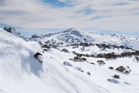 Perisher News Snow Reports Snow Forecasts Live Cams And Trail Maps