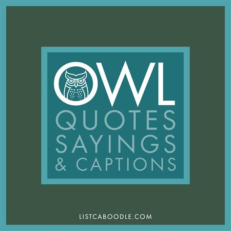 99+ Owl Quotes, Sayings, Captions (They're a Hoot!) | ListCaboodle in 2021 | Owl quotes, Sayings ...