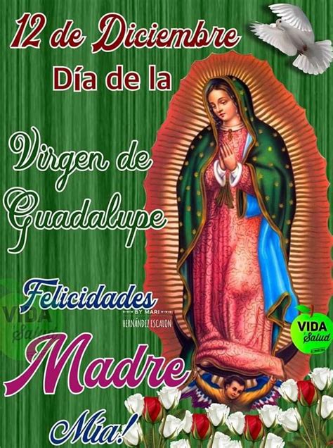 Pin On Virgen De Guadalupe