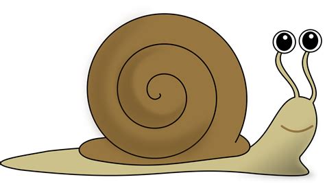 Clipart Slug 10 Free Cliparts Download Images On Clipground 2022