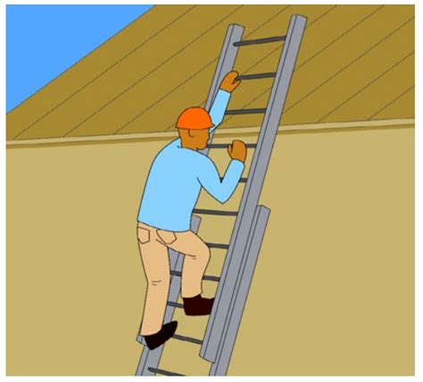 Ladder Safety • Office Of Environmental Health And Safety • Purchase