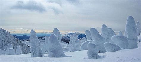 The Presurfer Snow Monsters Of Japan