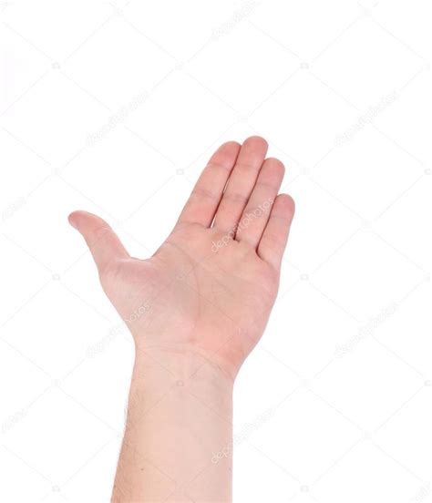 Open Palm Hand Gesture Of Male Hand — Stock Photo © Indigolotos 45663967