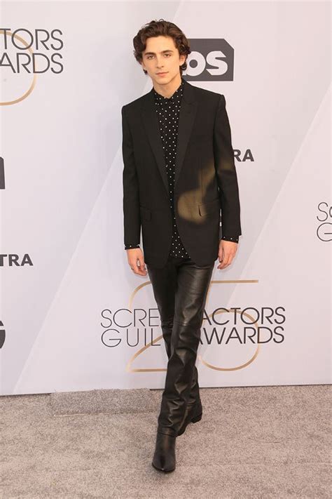 Sag Awards 2019 Beautiful Boy Star Timothée Chalamet Walks The Line