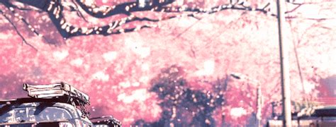 This page lists png of cherry tree/cherry blossom tree. Pink Tree GIFs - Find & Share on GIPHY