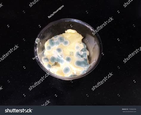 Fungus On Food Contains Bacteria Germs Stock Photo 770968396 Shutterstock
