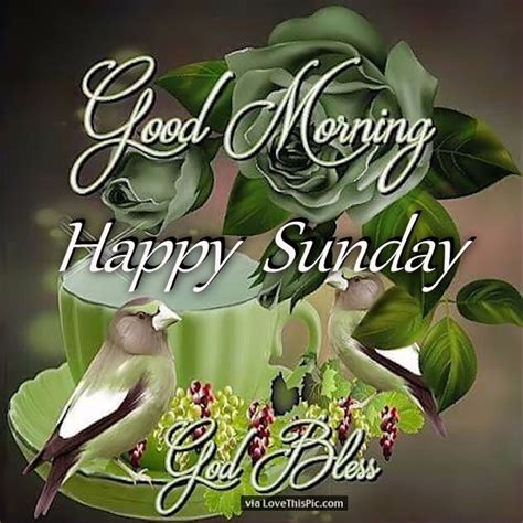 Good Morning Happy Sunday God Bless Pictures Photos And Images For