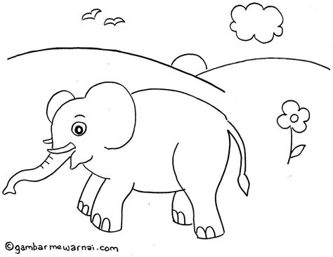 Coloring Gajah Coloring Pages