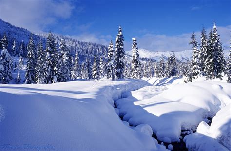 Snow Scene At Hemlock Valley Photo Wp01637