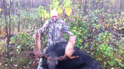 2012 Maine Bull Moose Hunt With Pleasant River Guides Youtube