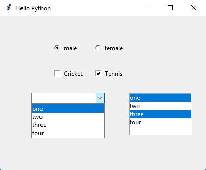 Python разработка интерфейса. Интерфейс Tkinter Python. Интерфейс gui на питоне. Примеры интерфейсов на питоне. Графическая форма Python.