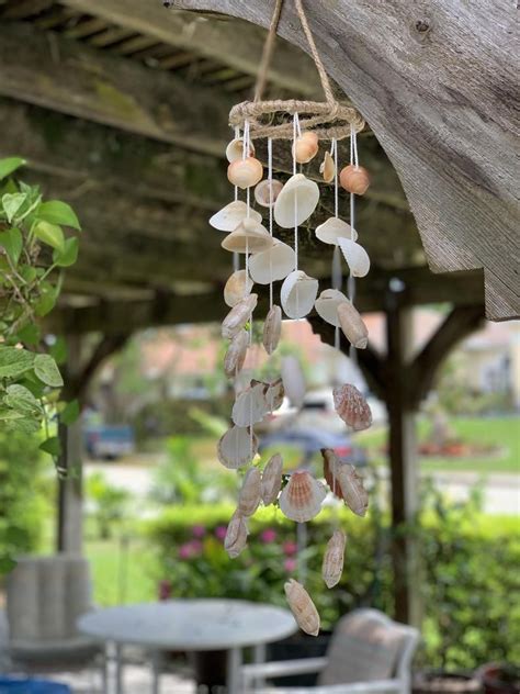 Real Sea Shells Wind Chimes Florida Seashells Olive Shell Calico