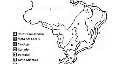 Mapa Biomas Brasileiros Para Colorir LEARNBRAZ