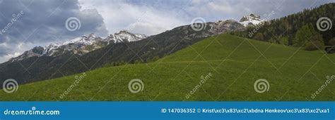 Panoramic Landscape Of Green Spring Meadow With Blooming Flowers And