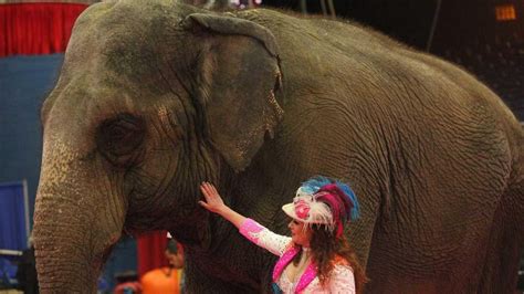 I Will Always Miss The Circus Elephants Newsday