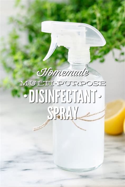 Homemade Multi Purpose Disinfectant And Deodorizing Spray Live Simply