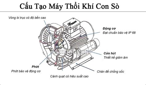 Máy Thổi Khí Con Sò Quạt Thổi Khí Con Sò Giá Tốt