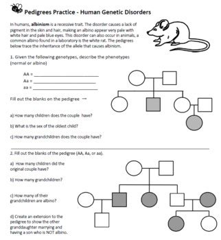 Human Pedigree Analysis Problem Sheet Answer Key Sheet