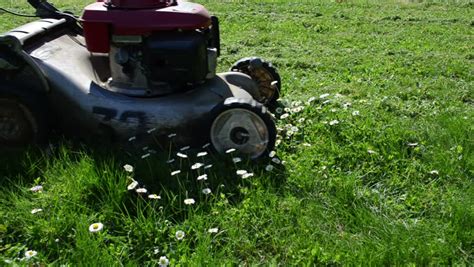 Lawn Mower Stock Video Footage 4k And Hd Video Clips Shutterstock