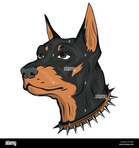 Doberman Vector Illustration Of Purebred Pet Dogs Head With Spiked