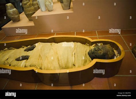 Mummy In Coffin Rome Italy Stock Photo Alamy