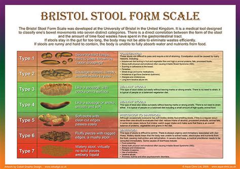 Bristol Stool Form Scale By Galina Imrie