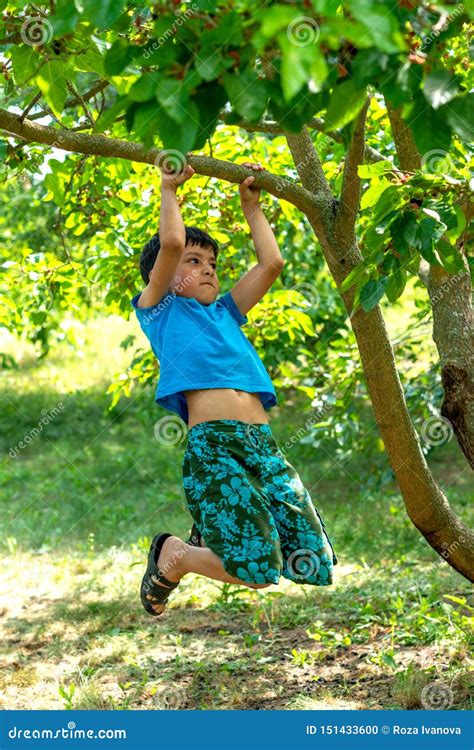 De Jongen Trekt Zich Op Een Tak Van Een Boom In De Tuin Stock Foto Image Of Kind Zomer 151433600