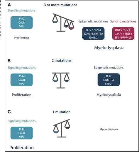 figure 5 from genetic basis and molecular pathophysiology of classical myeloproliferative