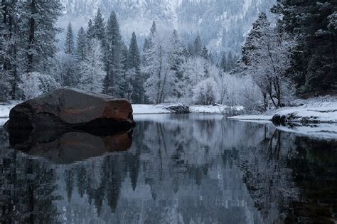 Winter Nature Love Love Smell Snow Windows Desktop