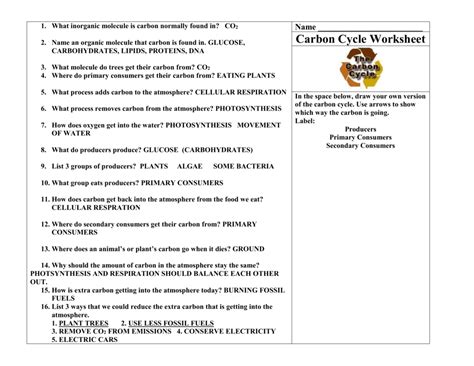 How would this affect the cycle? Carbon Cycle Worksheet