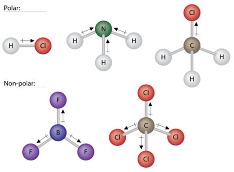 Polar Molecules Chemistry For Non Majors Course Hero